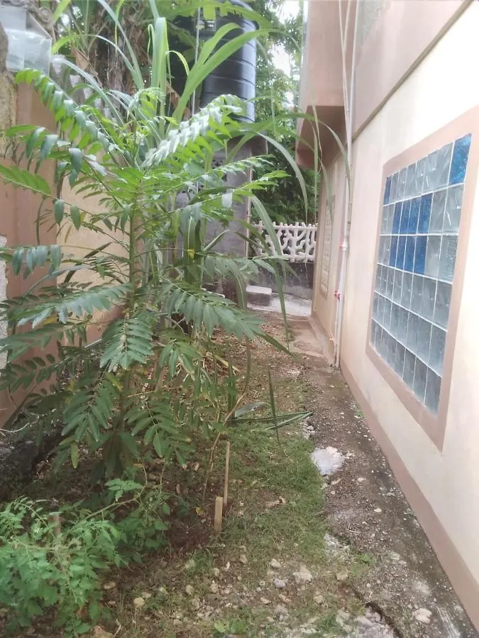 Oda ve Kahvaltı Becaville Port Antonio