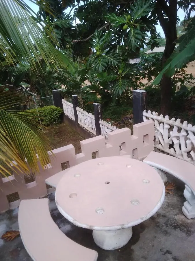 Becaville Port Antonio Oda ve Kahvaltı