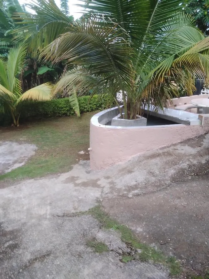 Becaville Port Antonio Oda ve Kahvaltı