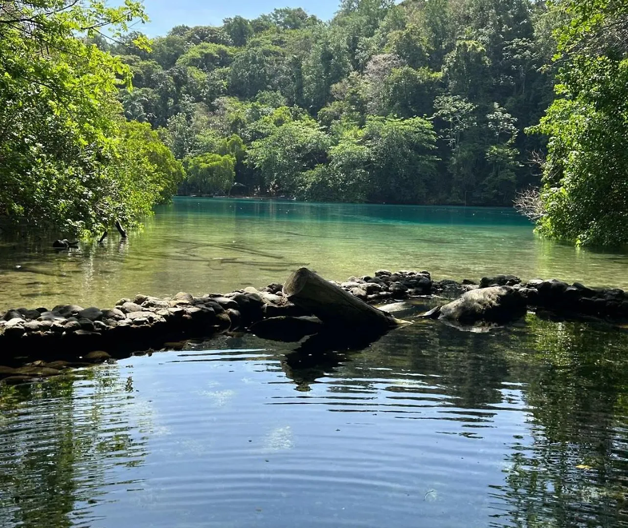 Alojamento de Acomodação e Pequeno-almoço Becaville Port Antonio Jamaica