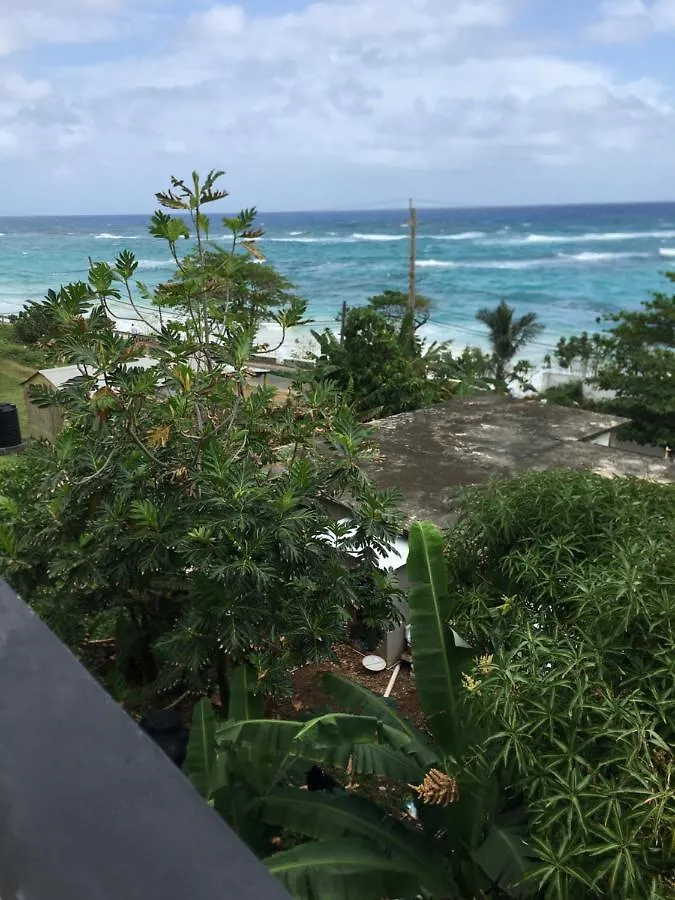 Oda ve Kahvaltı Becaville Port Antonio Jamaika
