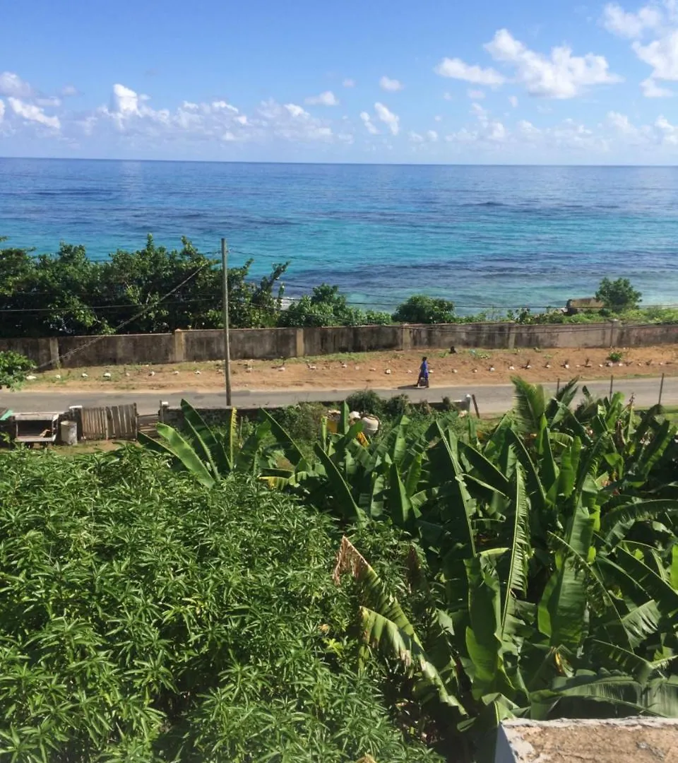 Becaville Port Antonio 0*,  Jamaika